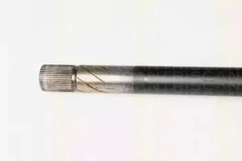 triscan-854025619