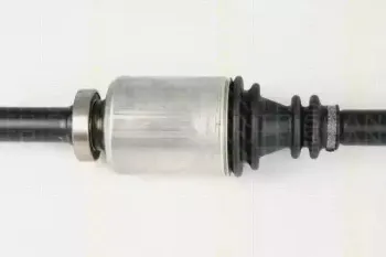 triscan-854025619
