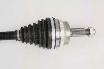 triscan-854025619