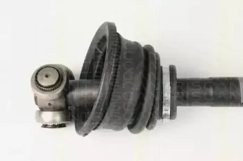 triscan-854025620