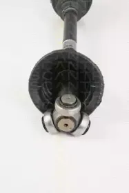 triscan-854025620