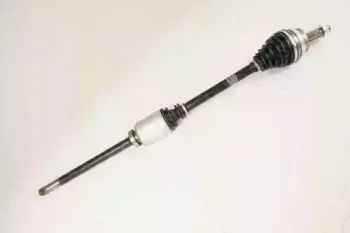 triscan-854025621