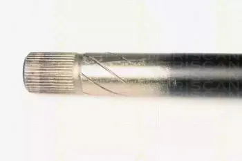 triscan-854025621