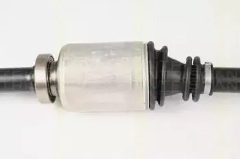 triscan-854025621