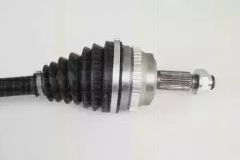 triscan-854025621