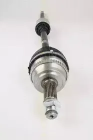 triscan-854025621