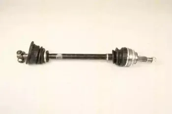 triscan-854025624