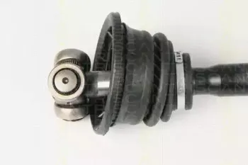 triscan-854025624