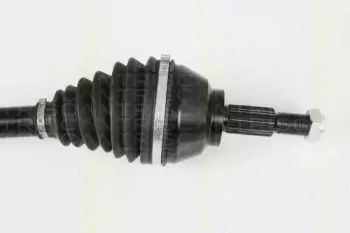 triscan-854025624