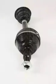 triscan-854025624