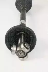 triscan-854025624