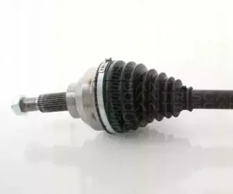 triscan-854025625