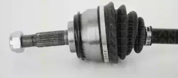 triscan-854025628