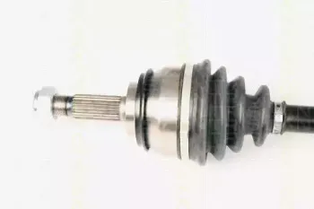 triscan-854025629