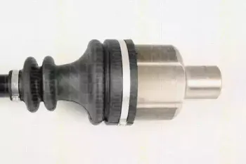 triscan-854025629