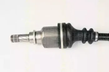 triscan-854025632