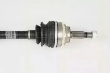 triscan-854025632