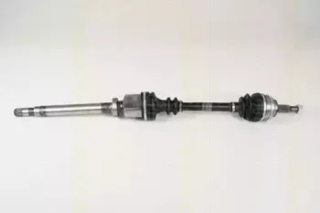 triscan-854025633