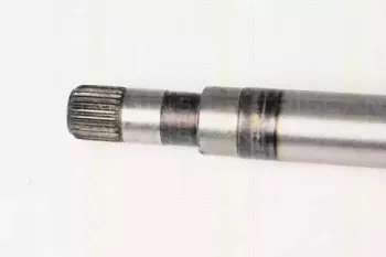 triscan-854025633