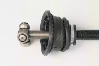 triscan-854025638