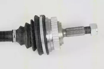 triscan-854025638