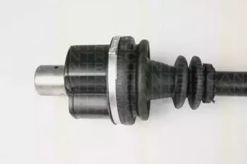 triscan-854025639