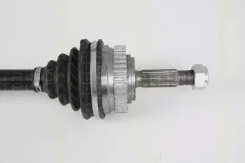 triscan-854025639