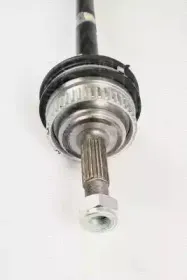 triscan-854025639