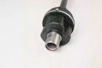 triscan-854025639