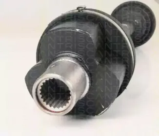 triscan-854025639