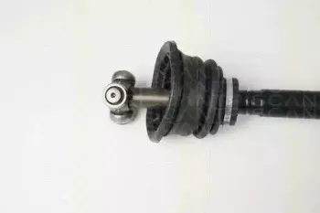triscan-854025640