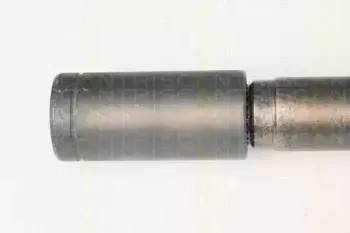 triscan-854025641