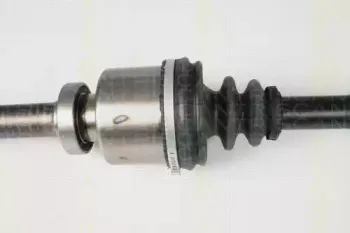 triscan-854025641