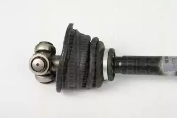 triscan-854025644