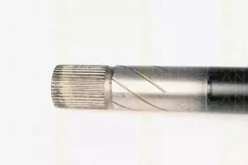 triscan-854025647