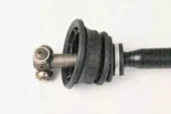 triscan-854025650