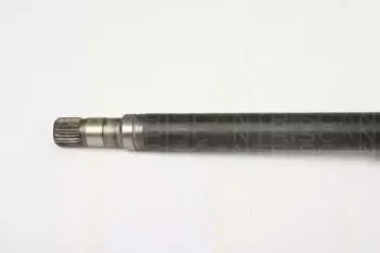 triscan-854025653