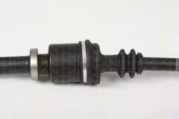 triscan-854025653