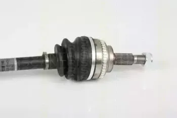 triscan-854025653