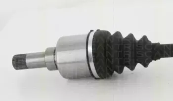 triscan-854025654