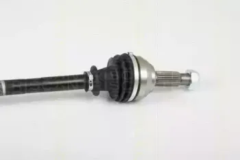 triscan-854025655