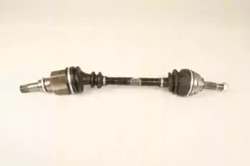 triscan-854025656
