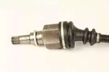 triscan-854025656