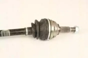 triscan-854025656