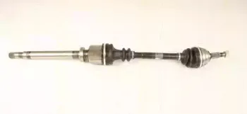 triscan-854025657