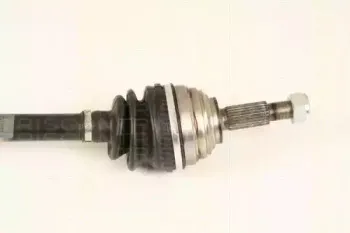 triscan-854025657