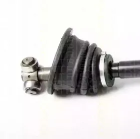 triscan-854025658
