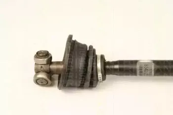 triscan-854025665