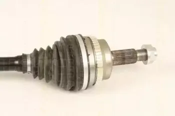 triscan-854025665