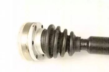 triscan-854025669